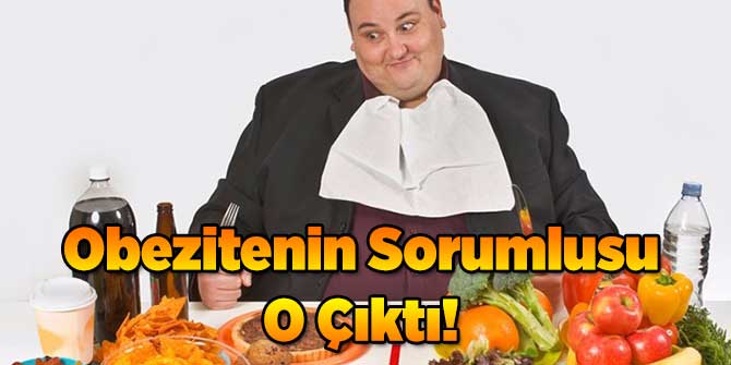 Obezitenin Sorumlusu O Çıktı
