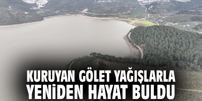 Kuruyan gölet yağışlarla yeniden hayat buldu