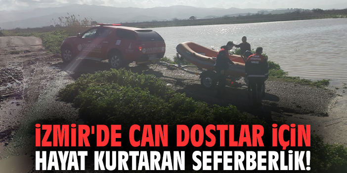 İzmir'de can dostlar için hayat kurtaran seferberlik!