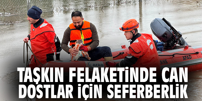 Taşkın Felaketinde Can Dostlar İçin Seferberlik