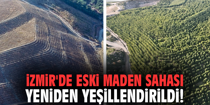 İzmir'de eski maden sahası yeniden yeşillendirildi!