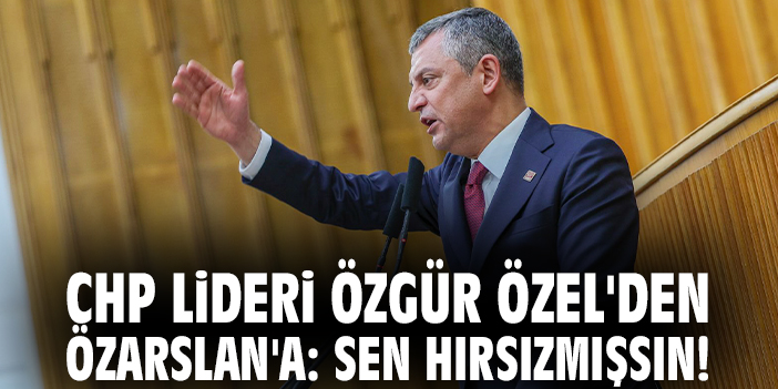 CHP Lideri Özgür Özel'den Özarslan'a: Sen hırsızmışsın!