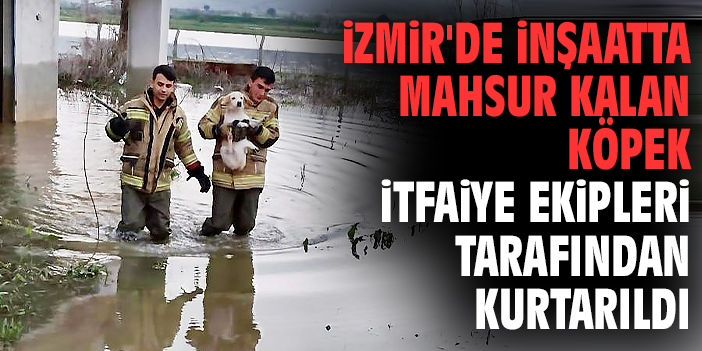 İzmir'de inşaatta mahsur kalan köpek itfaiye ekiplerince kurtarıldı