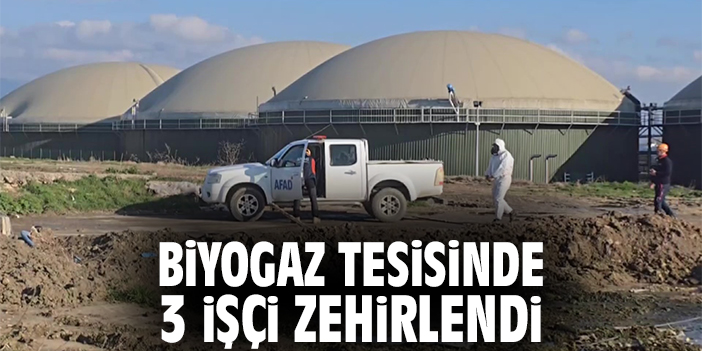 Biyogaz tesisinde 3 işçi zehirlendi