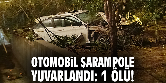 Otomobil şarampole yuvarlandı: 1 ölü!