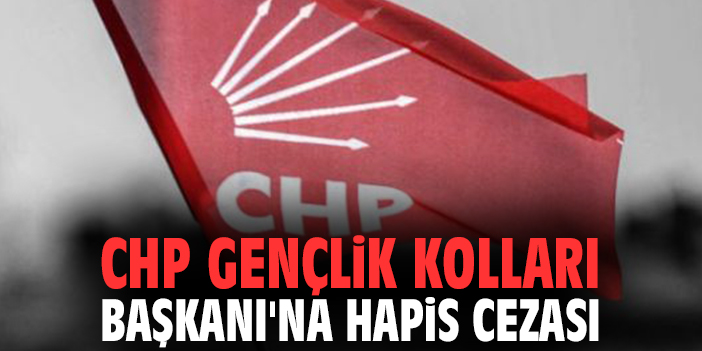CHP Gençlik Kolları Başkanı'na hapis cezası