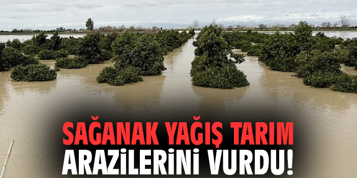 Sağanak yağış tarım arazilerini vurdu!