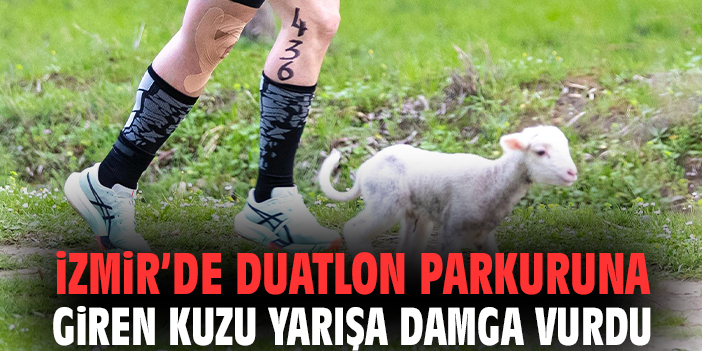 İzmir'de duatlon parkuruna giren kuzu yarışa damga vurdu