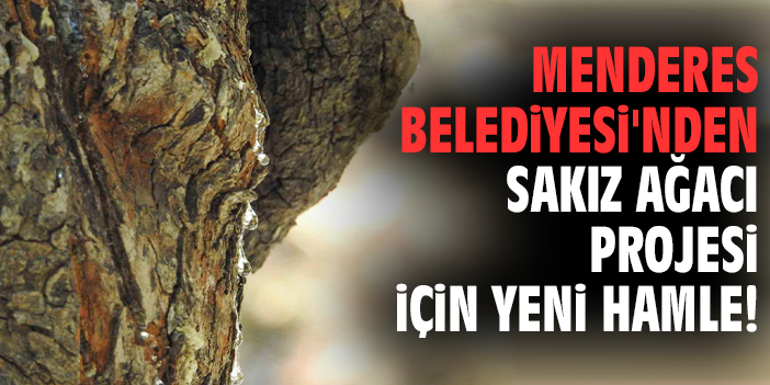 Menderes Belediyesi'nden Sakız Ağacı Projesi için yeni hamle!