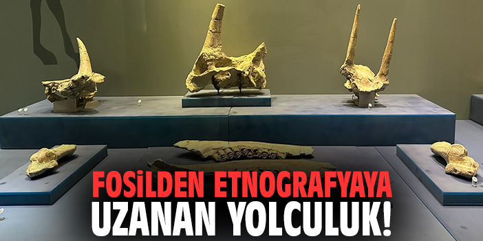 Fosilden Etnografyaya Uzanan Yolculuk