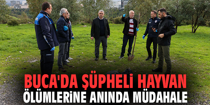 Buca'da şüpheli hayvan ölümlerine anında müdahale