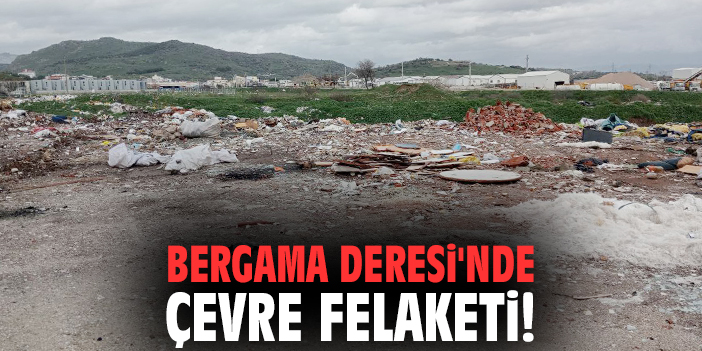Bergama Deresi'nde çevre felaketi!