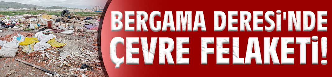 Bergama Deresi'nde çevre felaketi!