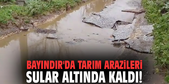 Bayındır'da tarım arazileri sular altında kaldı!