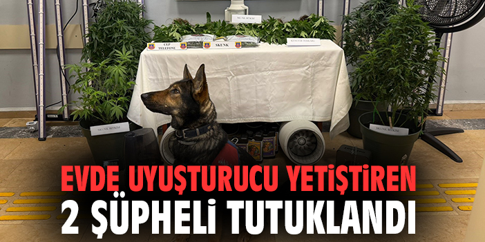 Evde uyuşturucu yetiştiren 2 zanlı tutuklandı