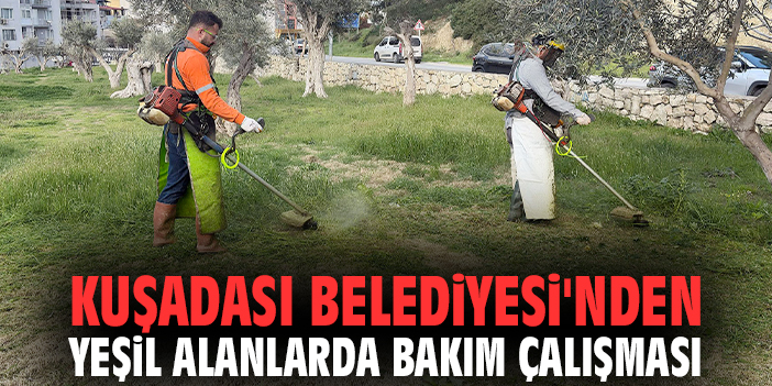 Kuşadası Belediyesi'nden yeşil alanlarda bakım çalışması