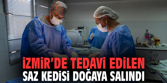 İzmir’de Tedavi Edilen Saz Kedisi Doğaya Salındı