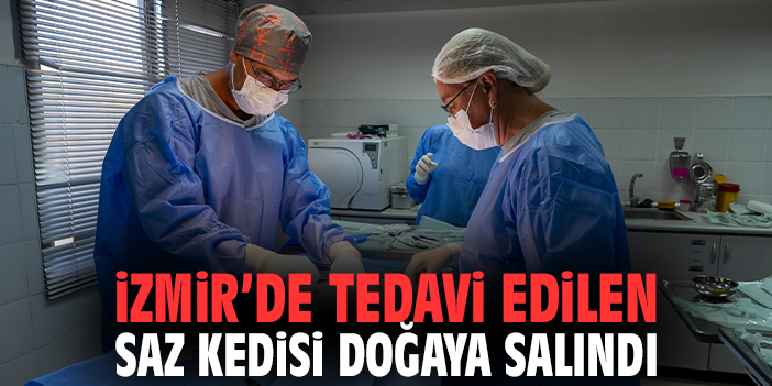 İzmir’de Tedavi Edilen Saz Kedisi Doğaya Salındı