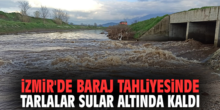 İzmir'de Baraj Tahliyesinde Tarlalar Sular Altında