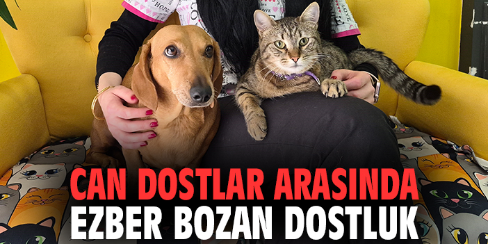 Can dostlar arasında ezber bozan dostluk
