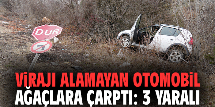 Virajı Alamayan Otomobil Ağaçlara Çarptı: 3 Yaralı