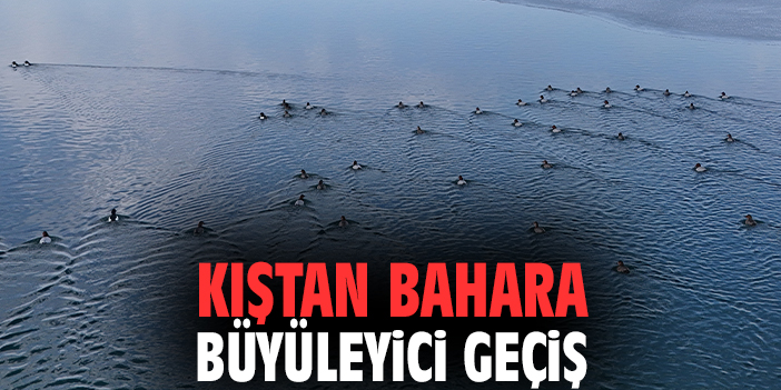 Nazik Gölü’nde Kıştan Bahara Büyüleyici Geçiş