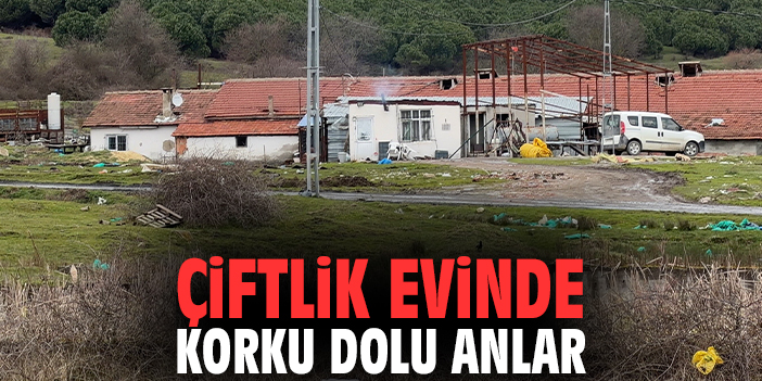 Çiftlik evinde korku dolu anlar