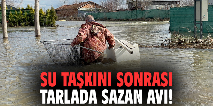 Su taşkını sonrası tarlada sazan avı!