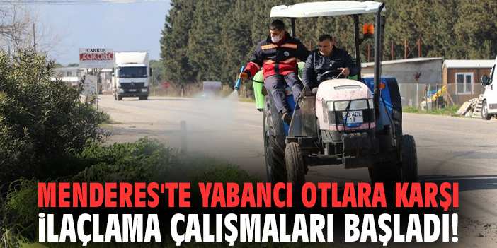 Menderes'te yabancı otlara karşı ilaçlama çalışmaları başladı!