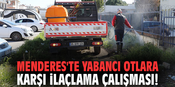 Menderes'te yabancı otlara karşı ilaçlama çalışması!