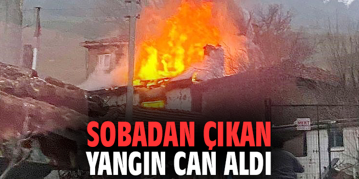 Sobadan çıkan yangın can aldı