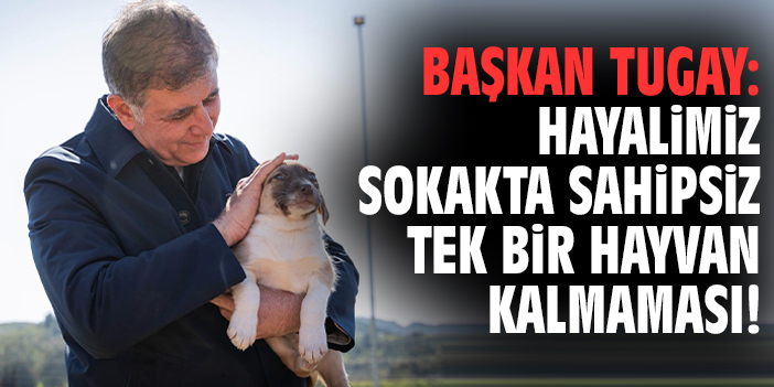 Başkan Tugay: Hayalimiz sokakta tek bir hayvan kalmaması!