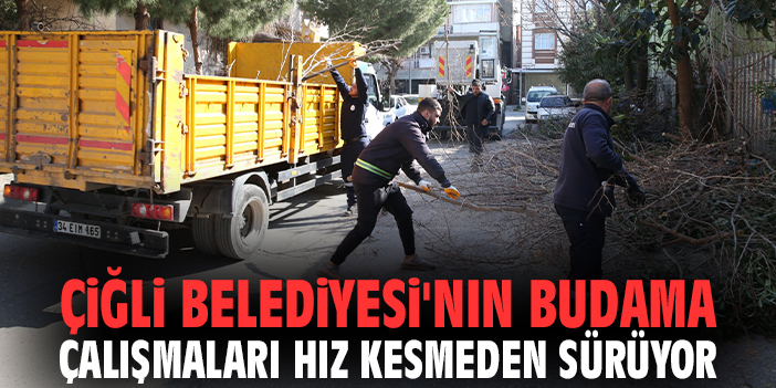 Çiğli Belediyesi'nin budama çalışmaları hız kesmeden sürüyor