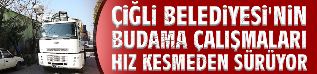 Çiğli Belediyesi'nin budama çalışmaları hız kesmeden sürüyor