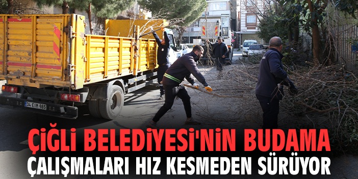 Çiğli Belediyesi'nin budama çalışmaları hız kesmeden sürüyor
