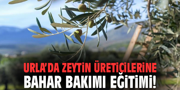 Urla’da Zeytin Üreticilerine Bahar Bakımı Eğitimi