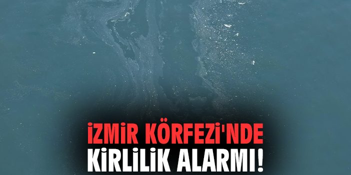 İzmir Körfezi'nde kirlilik alarmı!