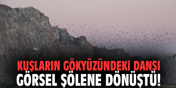 Kuşların Gökyüzündeki Dansı Görsel Şölene Dönüştü