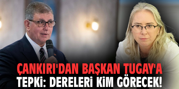 Çankırı'dan Başkan Tugay'a tepki: Dereleri kim görecek!