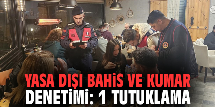 Yasa Dışı Bahis ve Kumar Denetimi: 1 Tutuklama