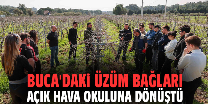 Buca'daki üzüm bağları açık hava okuluna dönüştü