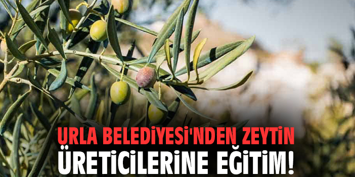 Urla Belediyesi'nden zeytin üreticilerine eğitim!