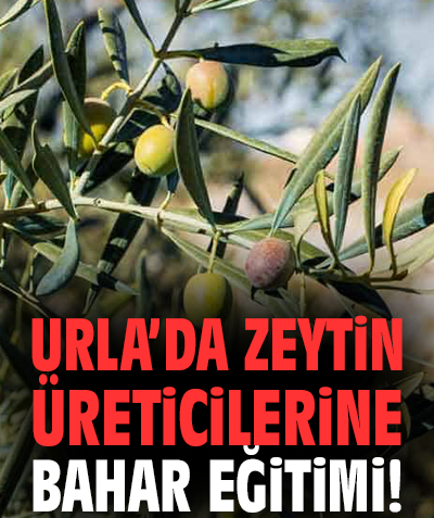 Urla Belediyesi'nden zeytin üreticilerine eğitim!