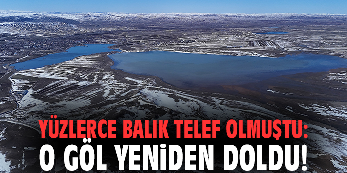 Yüzlerce balık telef olmuştu: O göl yeniden doldu!