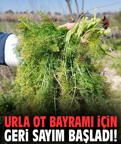 Urla Ot Bayramı için geri sayım başladı!