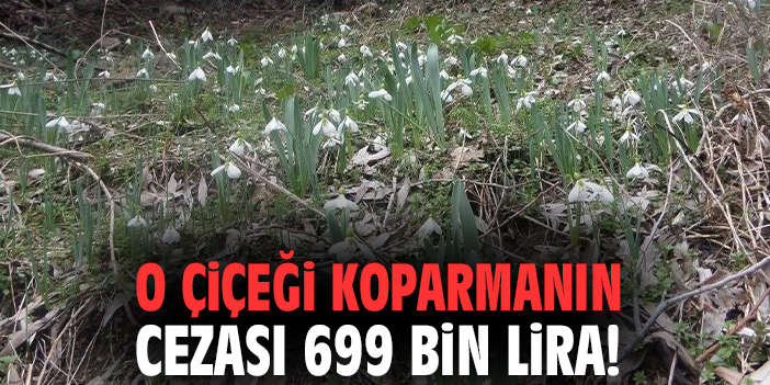 O çiçeği koparmanın cezası 699 bin lira!