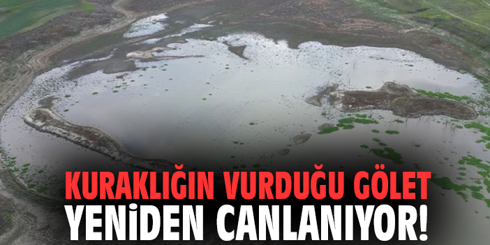 Kuraklığın vurduğu gölet yeniden canlanıyor!