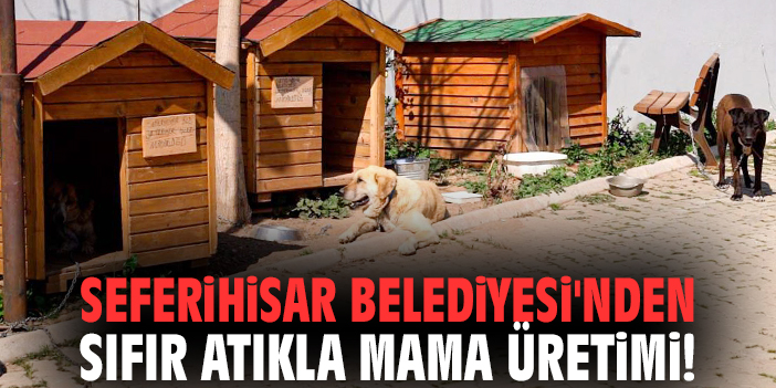 Seferihisar Belediyesi'nden sıfır atıkla mama üretimi!