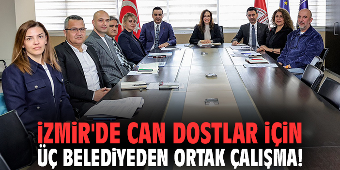İzmir'de can dostlar için üç belediyeden ortak çalışma!