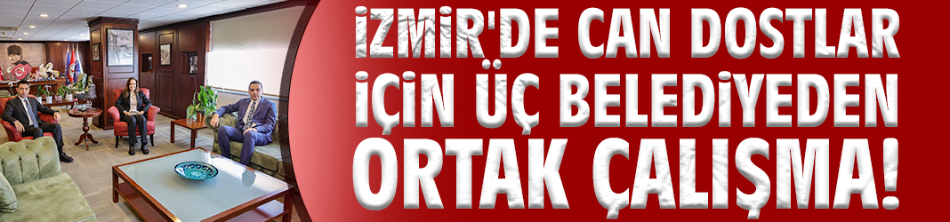 İzmir'de can dostlar için üç belediyeden ortak çalışma!